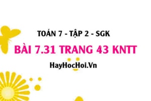 Bài 7.31 trang 43 Toán 7 Tập 2 Kết nối tri thức